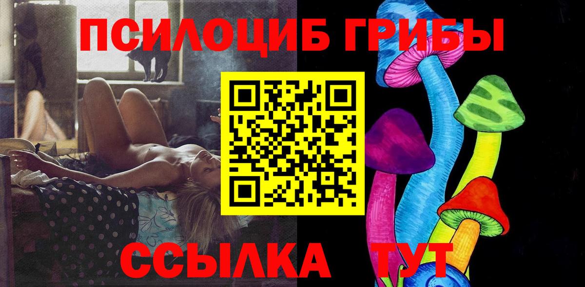 Галлюциногенные грибы Psilocybine cubensis  Вход с VPN  Искитим  Псилоцибиновые грибы Psilocybe 