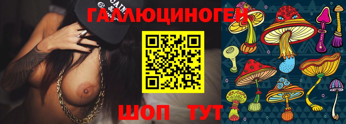 Псилоцибиновые грибы Psilocybe Искитим